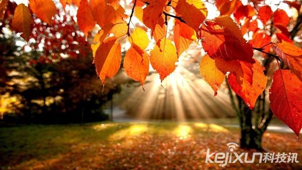 微軟Win10手機版將于今年發布 最早10月份