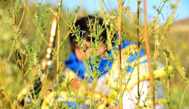 當(dāng)你LOL中毒太深,生活里的這些場(chǎng)景是否似曾相識(shí)?