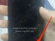 專家:人與機器人性愛將成常態