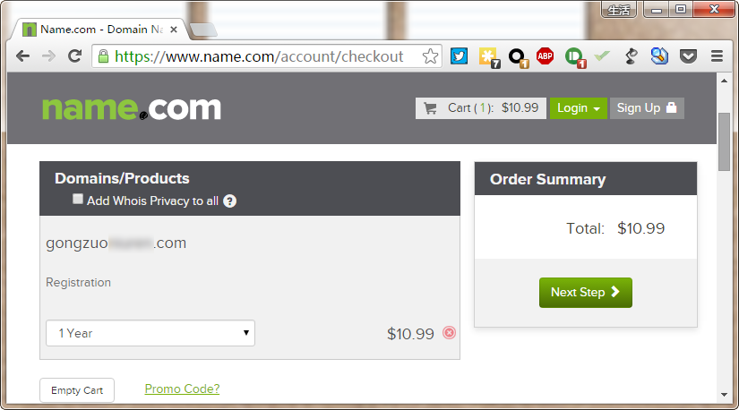 如何購買域名 購買域名高級進階指南 域名比價 取消域名保護 域名搶注