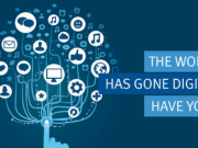 王思聰這周“養(yǎng)”了好幾個(gè)熊貓TV域名