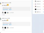 一個影響力大、實戰(zhàn)、干貨的SEO案例