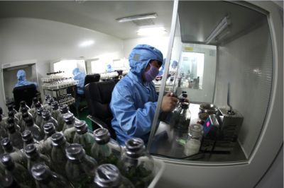 天津將建克隆工廠 克隆 英科博雅基因科技