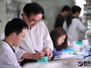 這20家獨(dú)角獸公司給程序員年薪最高:11萬美元起步