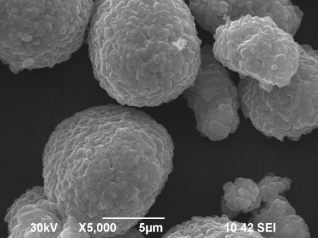 小小電池背后都有什么門道,怎么成了電動汽車行業(yè)的風向標?