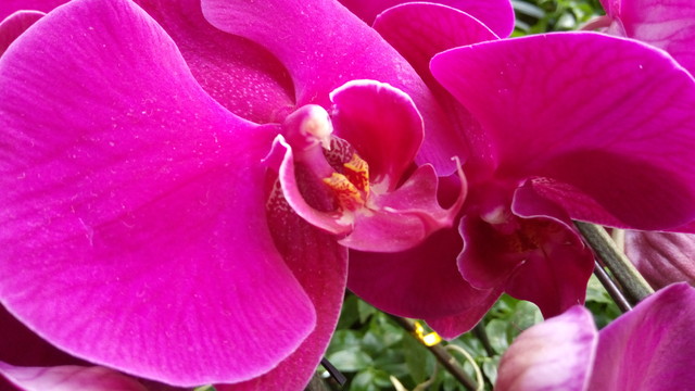 聯(lián)發(fā)科八核支持指紋 有糖手機(jī)U7評測