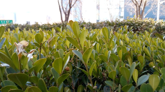 聯(lián)發(fā)科八核支持指紋 有糖手機(jī)U7評測