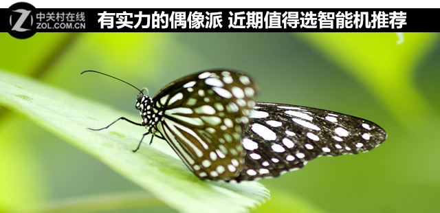 有實(shí)力的偶像派 近期值得選智能機(jī)推薦