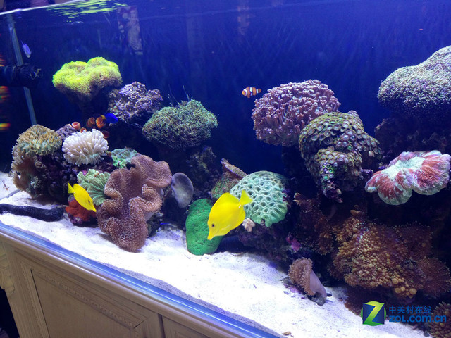 雙引擎閃充+4GB RAM vivo X6Plus購機手冊