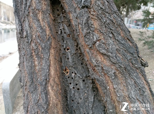 HTC One A9:精致貴族風范的中端機 