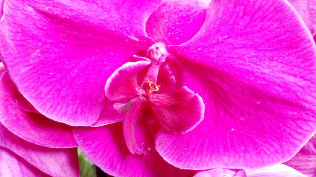 5000毫安時電池續航3天 藍魔M7全面評測 