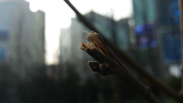 AXON天機MAX評測(待整理)