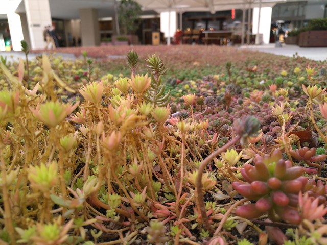 樂MaxPro上手速評