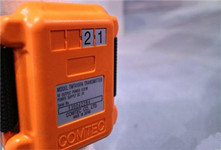 奶牛嫉妒人類要求用上可穿戴:它們如愿以償了!