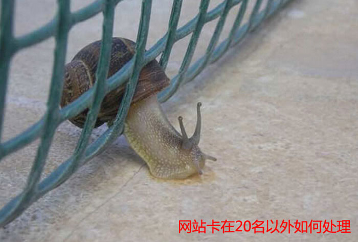 20名之外的網(wǎng)站進百度首頁的“推動寶典”