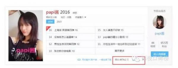 Papi醬遭廣電總局封殺 羅振宇1200萬恐打水漂