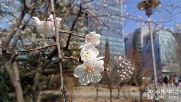 金立S8精彩樣張賞析(2)_金立S8第1張圖