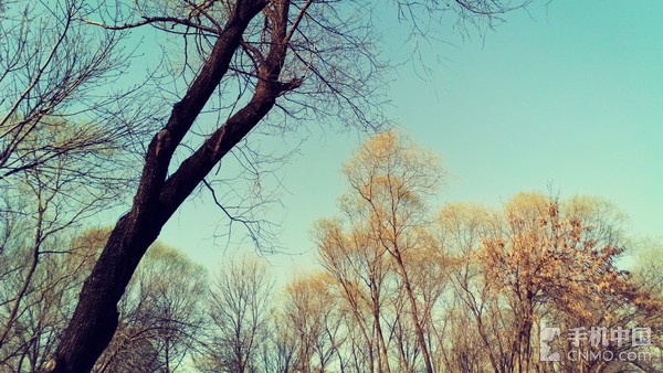 金立S8精彩樣張賞析(2)_金立S8第3張圖