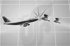 無人機多功能卻慘遭禁止?誤撞飛機留后患