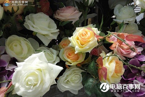 相機PK 榮耀5C和紅米Note3拍照樣張對比