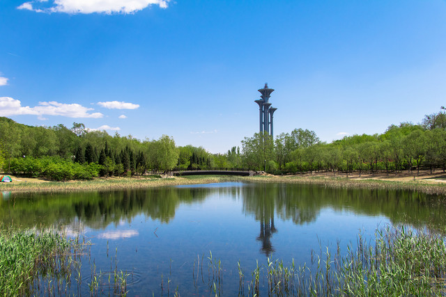 留住春天的色彩 佳能EOS 80D試用體驗