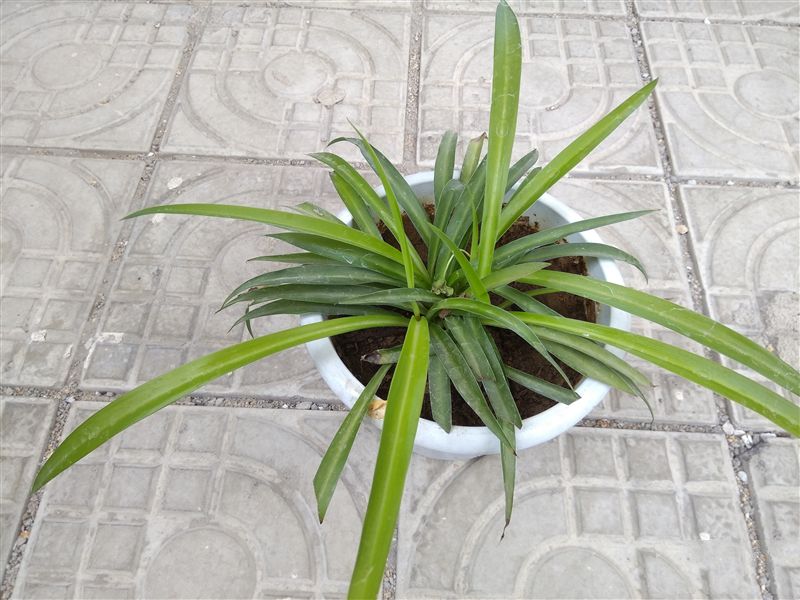 6.44寸黃金大屏！小米Max深度評測：續(xù)航驚人