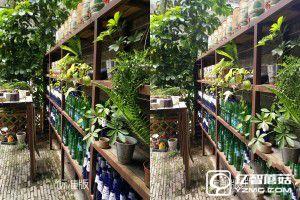 一代力作vivo Xplay5標(biāo)準(zhǔn)版&旗艦版對(duì)比評(píng)測(cè)