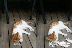 一代力作vivo Xplay5標(biāo)準(zhǔn)版&旗艦版對(duì)比評(píng)測(cè)