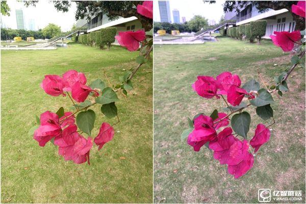 既生瑜何生亮？同門對決OPPO R9哭暈在廁所（OPPO R9、R9 Plus超詳細體驗對比）