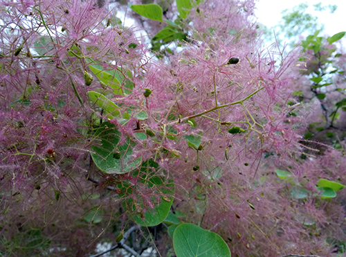 樂2和魅藍note3拍照樣張對比