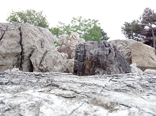 樂2和魅藍note3拍照樣張對比