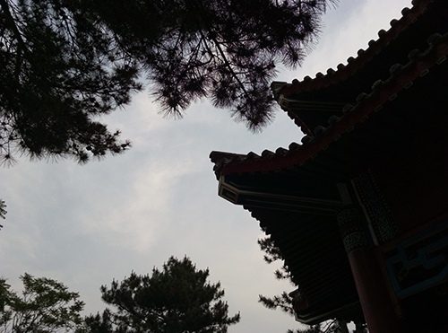 樂2和魅藍note3拍照樣張對比