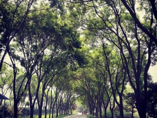 帶著華為榮耀V8去旅行：用它的攝像頭記錄世界