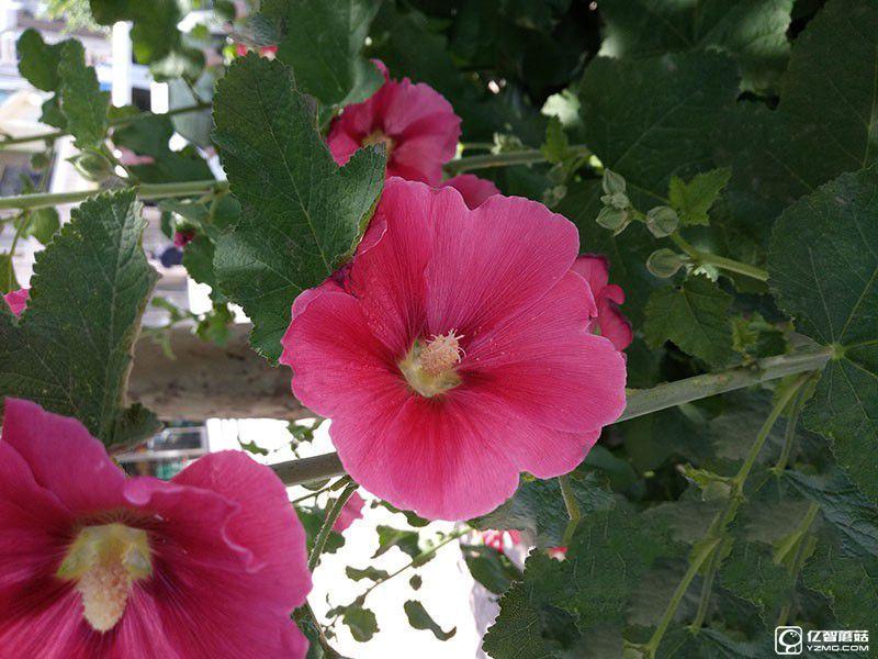 體驗為王 360手機N4評測:對比魅藍Note3/樂2誰更具吸引力?