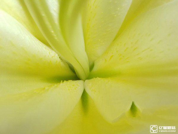 走差異化路線 魅族PRO 6評測