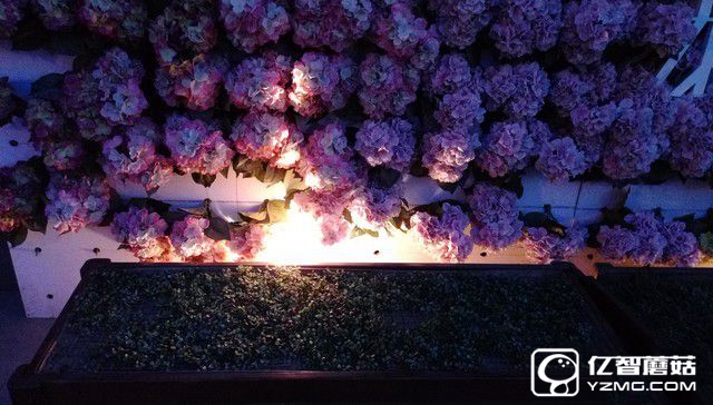 HTC Desire 830全面評(píng)測(cè):"年輕,沒(méi)怕的"