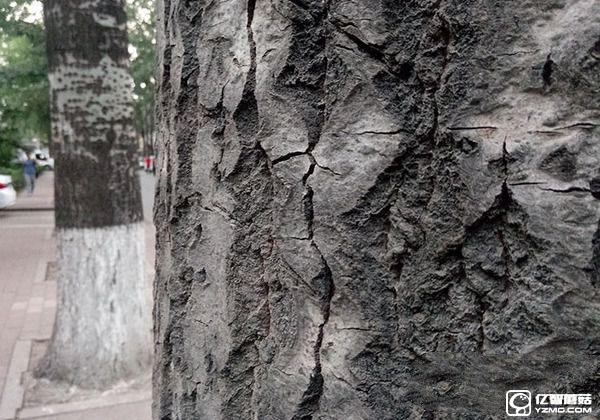 中興Blade A2和A1拍照哪個(gè)好 樣張對(duì)比