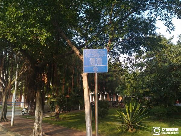 中興Blade A2和A1拍照哪個(gè)好 樣張對(duì)比