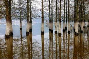 中興AXON天機7上手 教你隨手拍出專業照片