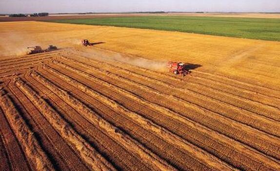 農村土地流轉O2O:一種具有代表性的農村<a href=/tech/biz/ target=_blank class=infotextkey>電商</a>下鄉模式