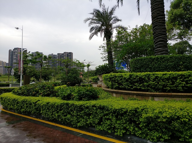 一加手機3拍照樣張圖賞