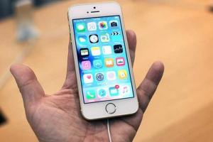 禍起蕭墻!低價iPhone SE拖累高端iPhone6s銷量