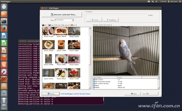 如何從壞掉的SD卡恢復文件