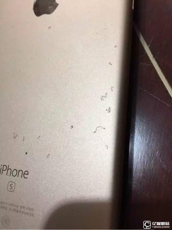 iPhone6s驚現(xiàn)“氧化門” 您中招了么？