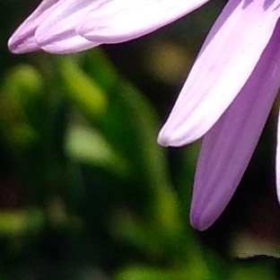 尖phone對決:榮耀5A PK 紅米Note 3(暫不發布)