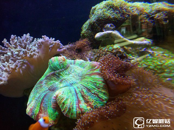 koobee酷比MAX5全面評測：薄快持久 