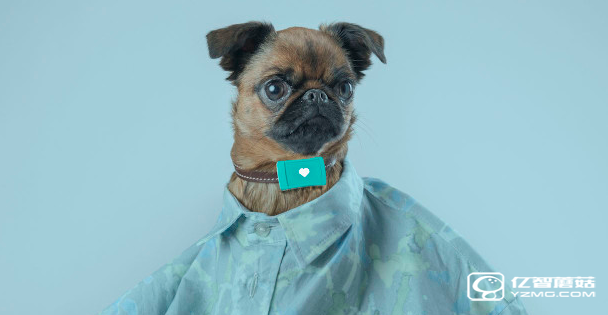 有了這條狗帶 你家狗狗也能說人話了