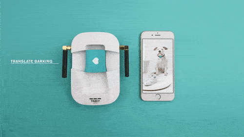 有了這條狗帶 你家狗狗也能說人話了