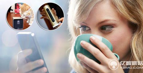 寵物界的智能穿戴設備   萌寵必備