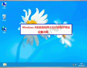 Windows 8系統有線網卡自動獲取IP地址